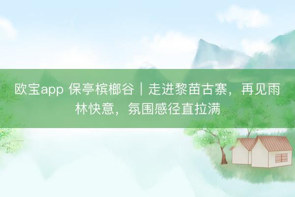 欧宝app 保亭槟榔谷｜走进黎苗古寨，再见雨林快意，氛围感径直拉满