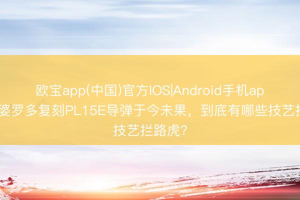 欧宝app(中国)官方IOS|Android手机app下载 婆罗多复刻PL15E导弹于今未果，到底有哪些技艺拦路虎？