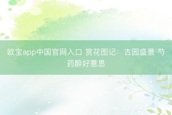欧宝app中国官网入口 赏花图记：古园盛景 芍药醉好意思