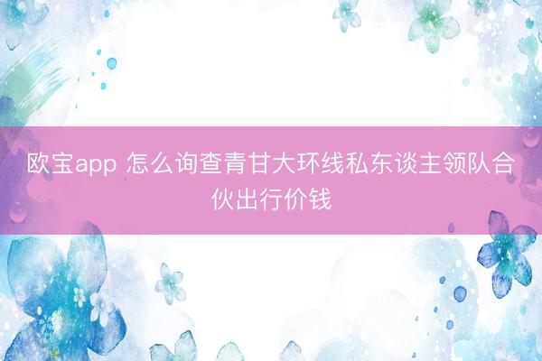 欧宝app 怎么询查青甘大环线私东谈主领队合伙出行价钱