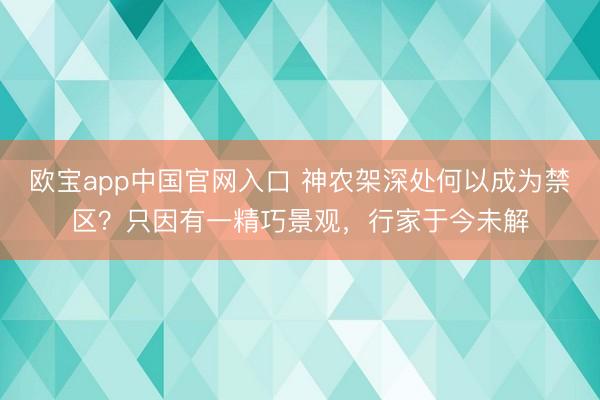 欧宝app中国官网入口 神农架深处何以成为禁区？只因有一精巧景观，行家于今未解