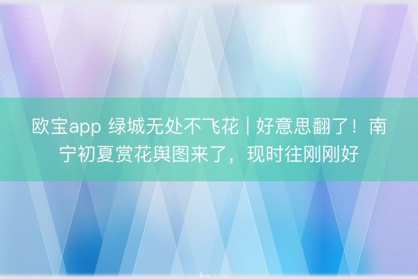 欧宝app 绿城无处不飞花 | 好意思翻了！南宁初夏赏花舆图来了，现时往刚刚好