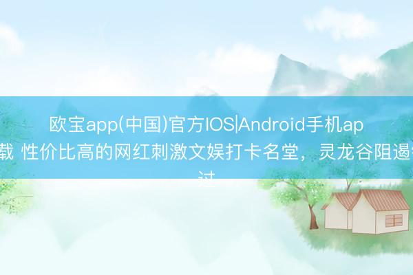 欧宝app(中国)官方IOS|Android手机app下载 性价比高的网红刺激文娱打卡名堂，灵龙谷阻遏错过