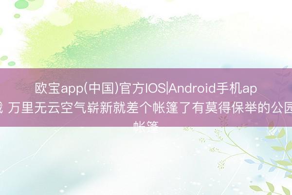 欧宝app(中国)官方IOS|Android手机app下载 万里无云空气崭新就差个帐篷了有莫得保举的公园帐篷
