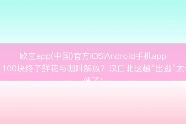 欧宝app(中国)官方IOS|Android手机app下载 100块终了鲜花与咖啡解放？汉口北这趟“出逃”太值了！