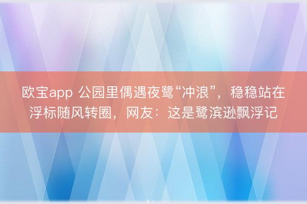 欧宝app 公园里偶遇夜鹭“冲浪”，稳稳站在浮标随风转圈，网友：这是鹭滨逊飘浮记