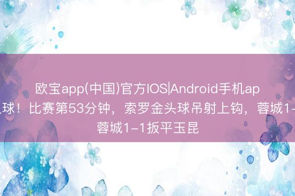 欧宝app(中国)官方IOS|Android手机app下载 巨人球！比赛第53分钟，索罗金头球吊射上钩，蓉城1-1扳平玉昆