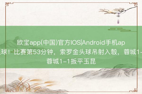 欧宝app(中国)官方IOS|Android手机app下载 伟人球！比赛第53分钟，索罗金头球吊射入彀，蓉城1-1扳平玉昆