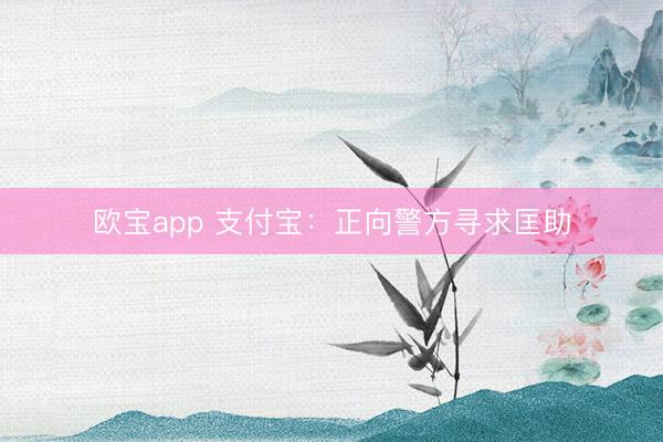 欧宝app 支付宝：正向警方寻求匡助