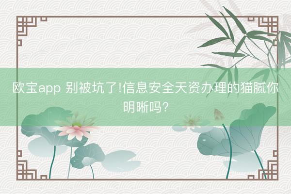 欧宝app 别被坑了!信息安全天资办理的猫腻你明晰吗?