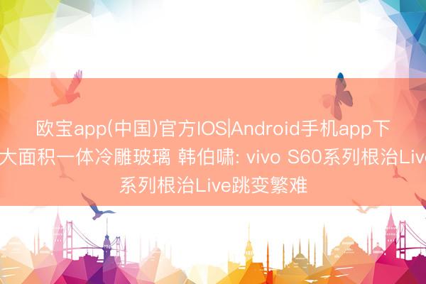 欧宝app(中国)官方IOS|Android手机app下载 接收超大面积一体冷雕玻璃 韩伯啸: vivo S60系列根治Live跳变繁难
