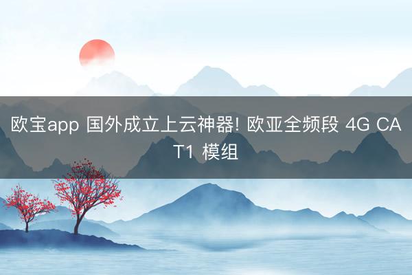 欧宝app 国外成立上云神器! 欧亚全频段 4G CAT1 模组