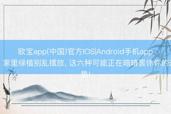 欧宝app(中国)官方IOS|Android手机app下载 家里绿植别乱摆放， 这六种可能正在暗暗罢休你的运势!