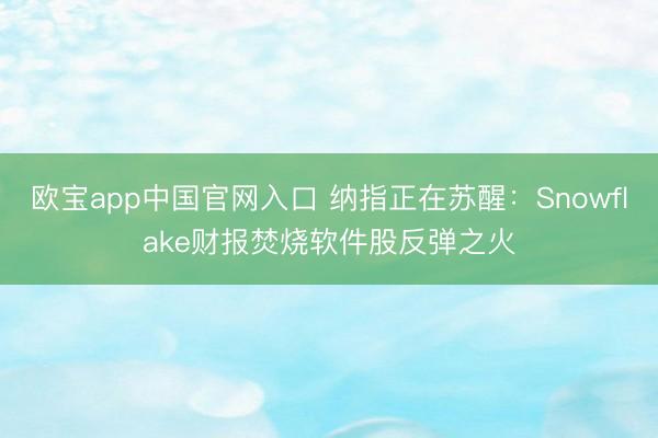 欧宝app中国官网入口 纳指正在苏醒：Snowflake财报焚烧软件股反弹之火