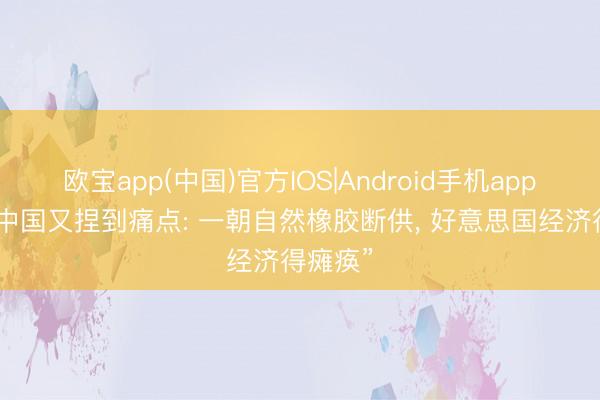 欧宝app(中国)官方IOS|Android手机app下载 “中国又捏到痛点: 一朝自然橡胶断供， 好意思国经济得瘫痪”