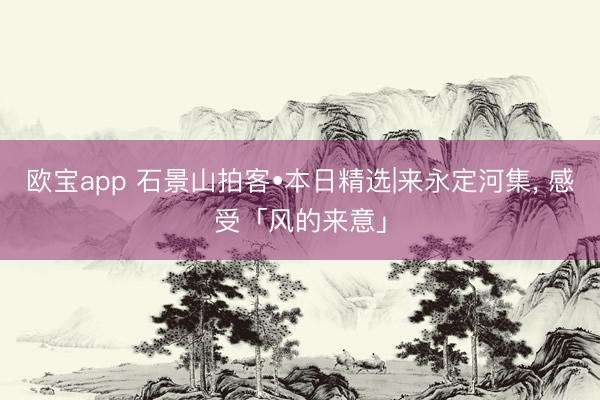 欧宝app 石景山拍客•本日精选|来永定河集, 感受「风的来意」