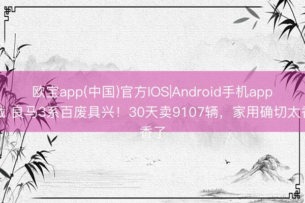 欧宝app(中国)官方IOS|Android手机app下载 良马3系百废具兴！30天卖9107辆，家用确切太香了