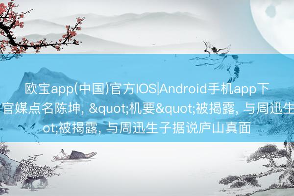 欧宝app(中国)官方IOS|Android手机app下载 澈底瞒不住? 官媒点名陈坤, "机要"被揭露, 与周迅生子据说庐山真面