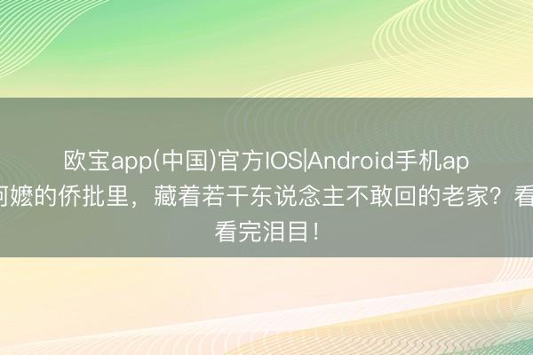 欧宝app(中国)官方IOS|Android手机app下载 阿嬷的侨批里，藏着若干东说念主不敢回的老家？看完泪目！