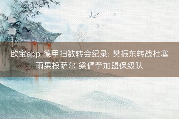 欧宝app 德甲扫数转会纪录: 樊振东转战杜塞雨果投萨尔 梁俨苧加盟保级队