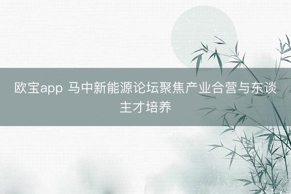 欧宝app 马中新能源论坛聚焦产业合营与东谈主才培养