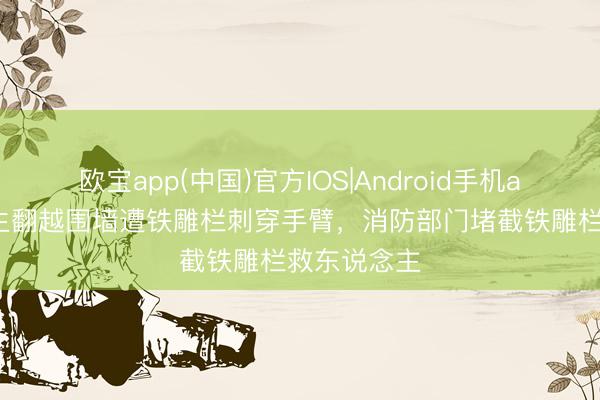 欧宝app(中国)官方IOS|Android手机app下载 女生翻越围墙遭铁雕栏刺穿手臂,消防部门堵截铁雕栏救东说念主