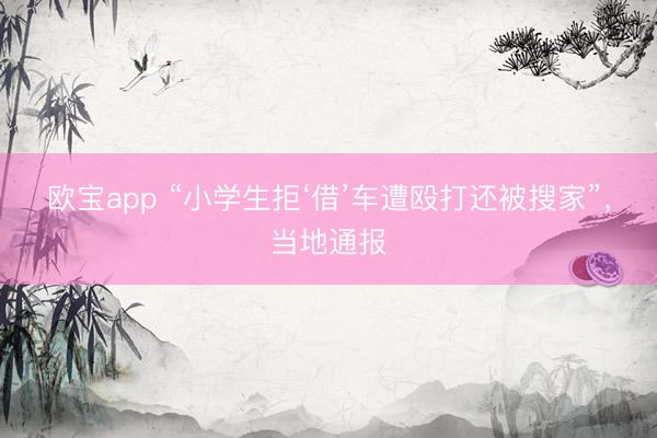 欧宝app “小学生拒‘借’车遭殴打还被搜家”，当地通报