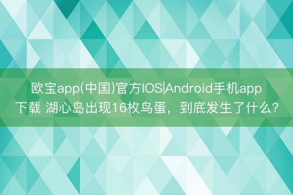 欧宝app(中国)官方IOS|Android手机app下载 湖心岛出现16枚鸟蛋，到底发生了什么？